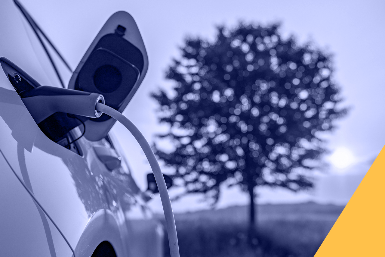 A graphic rendition of North America with many vertex points dotted in an overlay.