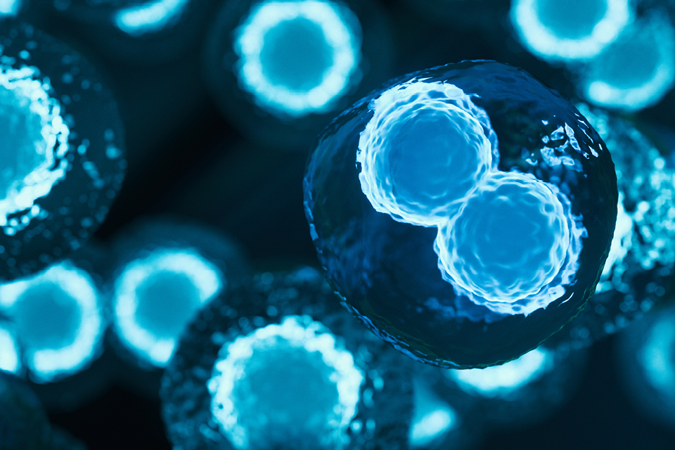 A blue image with the TRBOT branding.