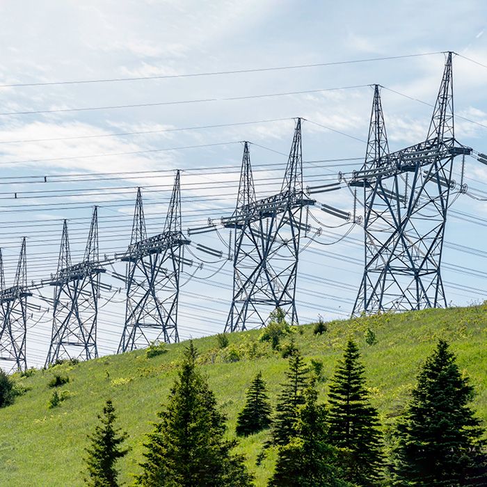 A row of powerlines in a grassy field